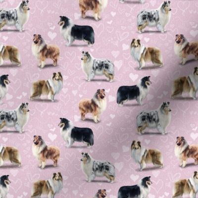 The Rough Collie Pink Version