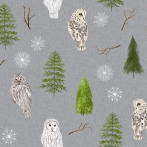 Small Winter Owls and Trees on White