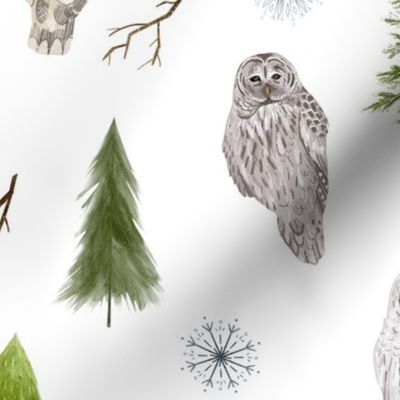 Medium Winter Owls and Trees on White