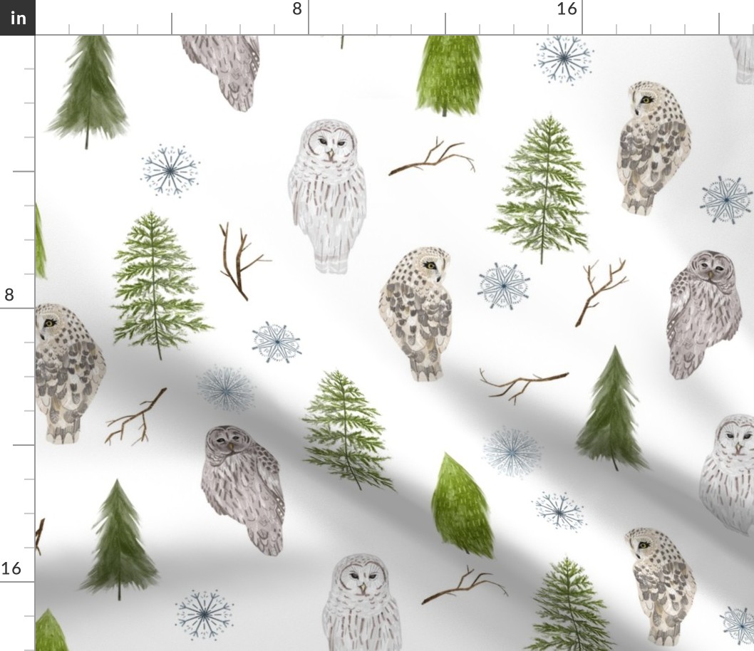 Medium Winter Owls and Trees on White