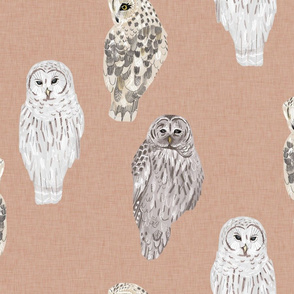 Large Lovely Winter Owls on Blush Linen