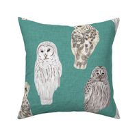 Large Lovely Winter Owls on Teal Linen