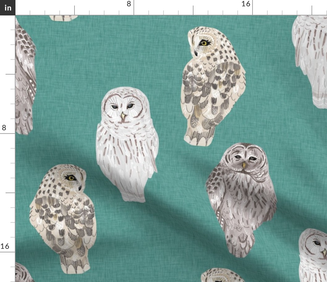 Large Lovely Winter Owls on Teal Linen