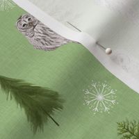 Small Green Linen Winter Owls and Trees