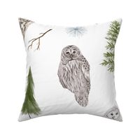 Large Winter Owls and Trees on White