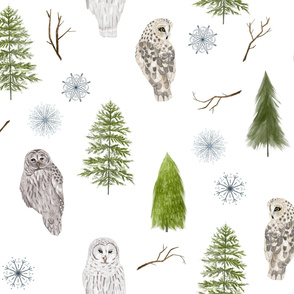 Large Winter Owls and Trees on White