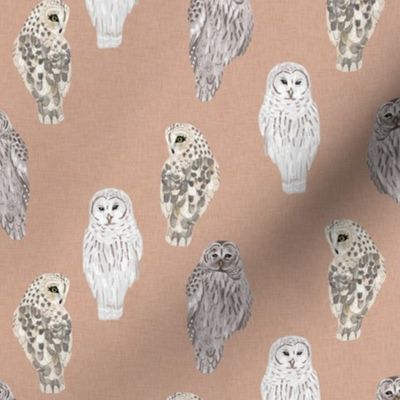 Small Lovely Winter Owls on Blush Linen