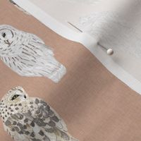 Small Lovely Winter Owls on Blush Linen
