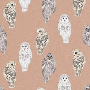 Small Lovely Winter Owls on Blush Linen