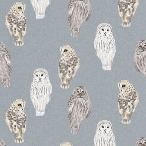 Small Lovely Winter Owls on Grey Linen