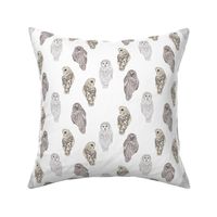 Small Lovely Winter Owls on White