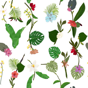 New Botanical tropic flowers and tropical leaves white background