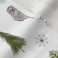 Small Winter Owls and Trees on White
