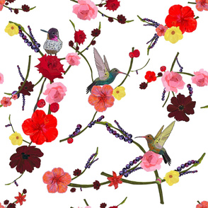 Birds with hibiscus and roses pattern white background