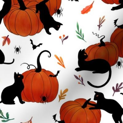 cats n pumpkins