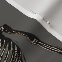 Grungy Black Grey Vintage Medical Conjoined Twins Fetal Skeleton Oddity Fabric Curiosity Cabinet