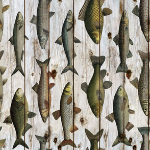 Vintage Fish on Shiplap Rotated - large scale