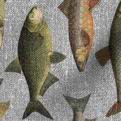 Vintage Fish on Grey Linen rotated - large scale