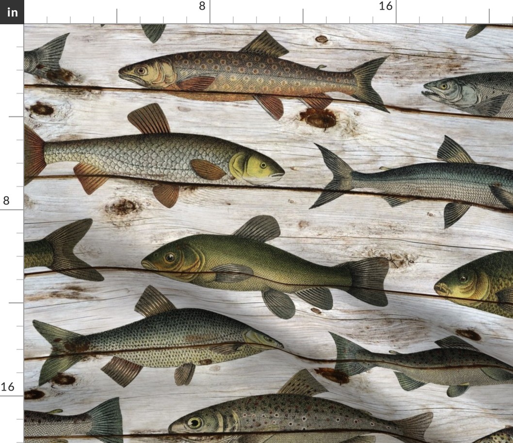 Vintage Fish on Shiplap - large scale