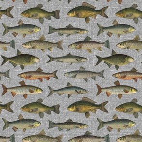 Vintage Fish on Grey Linen - medium scale