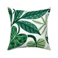 Exotic tropical leaves on white