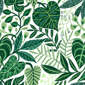 Exotic tropical leaves on white