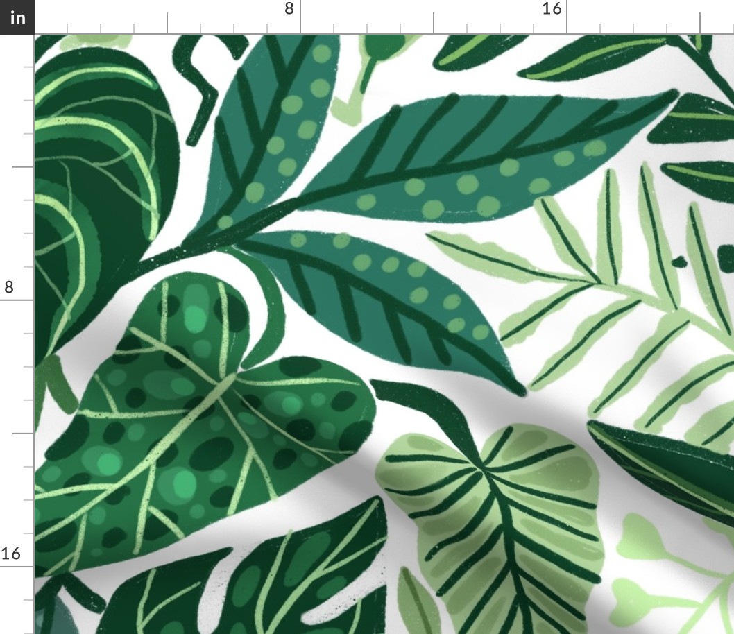 Exotic tropical leaves on white