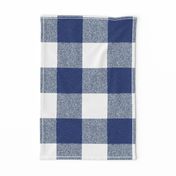 Blue and White Gingham