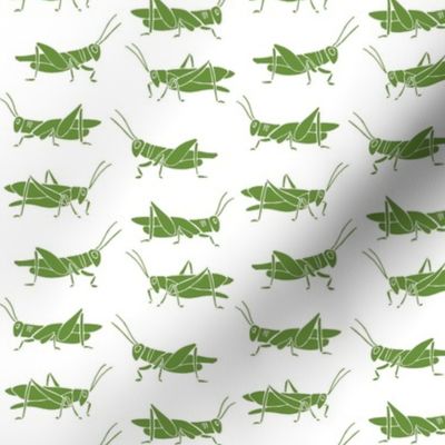 crickets - green