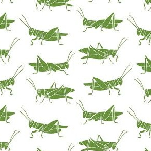 crickets - green