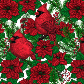 Cardinals and poinsettia for Christmas 3