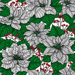 White poinsettia, Cristmas pattern