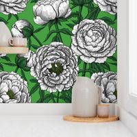 White peony flowers on green