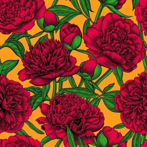 Red peony garden, green leaves, orange background