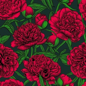 Red peony garden, green leaves, dark green background