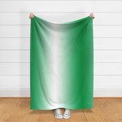 21" x 42"  ombre gradient mint green #009744 to white