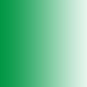 21" x 42"  ombre gradient mint green #009744 to white