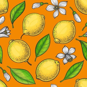 Lemons on orange