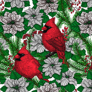 Cardinals and poinsettia for Christmas 2