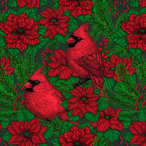 Cardinals and poinsettia for Christmas