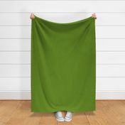 unicolor solid grass green 648918