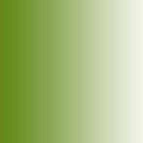 21" x 42"  ombre gradient grass green #648918 to white