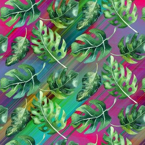 watermelon monstera multicolor background FLWRHT