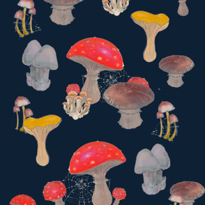 Twilight mushrooms 