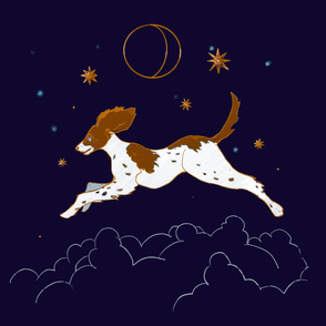 Springer Spaniel - shoot for the moon