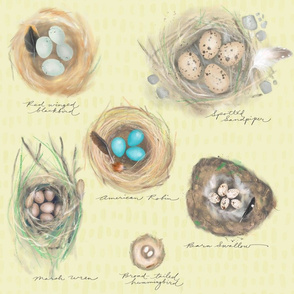 nature journal: cozy bird nests on straw