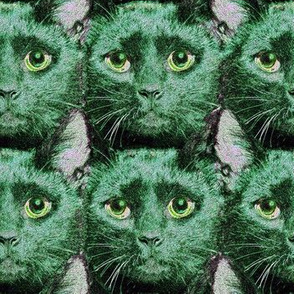 Green Cat Faces