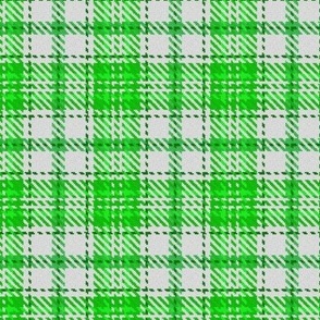 Boxed in Cross Plaid White and Green