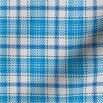 Boxed in Cross Plaid White and Blue