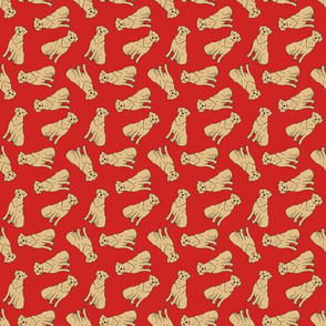 Tossed Golden Retriever Dogs on Bright Red